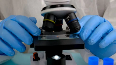 Tick in a test tube in the laboratory. Selective focus. Stock Footage 306412635