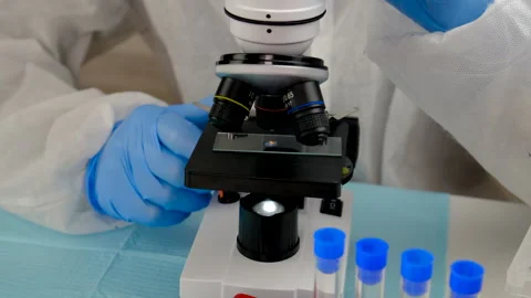 Tick in a test tube in the laboratory. Selective focus. Stock Footage 306412847