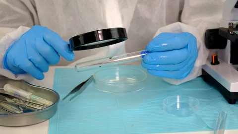 Tick in a test tube in the laboratory. Selective focus. Stock Footage 306584650