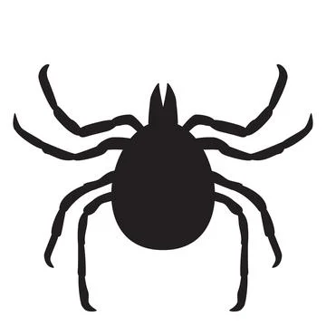 Tick vector illustration. Insect is simple flat style isolated on white Stock Illustration