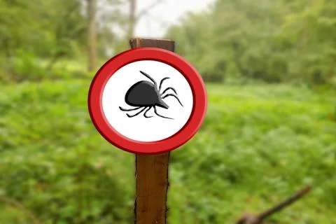 Tick warning red warning sign with tick symbol. Stock-Fotos