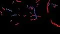 Ticker tape stars and stripes US USA America presidential election patriotic HD Footage