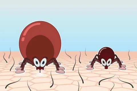 Ticks on a good pasture Stock Illustration