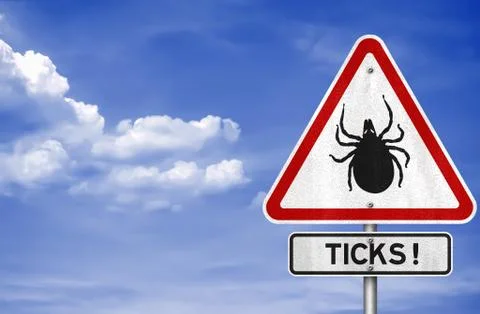 Ticks warning sign Stock Illustration