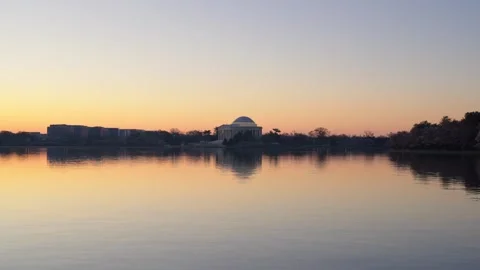 Tidal Basin During Peak Bloom Stock Footage 306011022