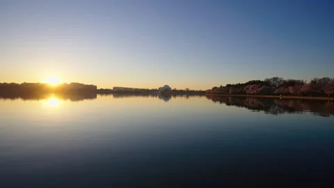 Tidal Basin During Peak Bloom Stock Footage 306011034