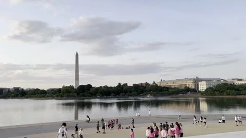 Tidal Basin Vídeos de archivo 330264164