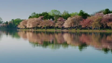 Tidal Basin Reflection. Washington DC Stock Footage 151878621