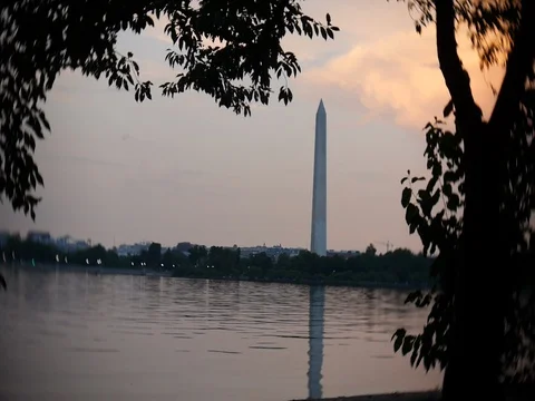 Tidal Basin, Washington, DC Stock Footage 78624631