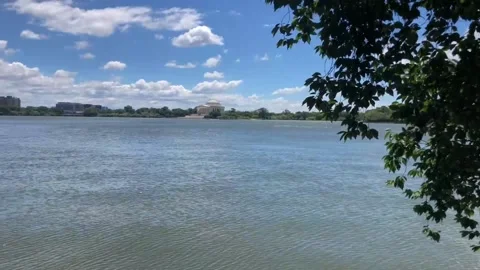 TIDAL BASIN IN WASHINGTON D.C. Vidéo 130730464