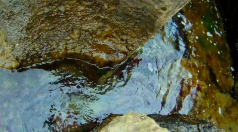 Tidal bore Stock Footage 834827