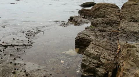 Tidal bore Stock Footage 12051170