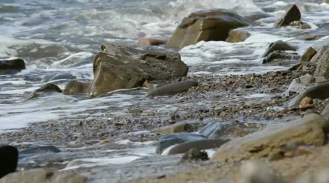 Tidal bore Stock Footage 12375512