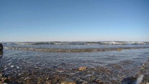 Tidal bore. Video stock 220545566