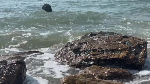 Tidal bore Video stock 241840696