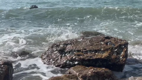 Tidal bore Video stock 241840765