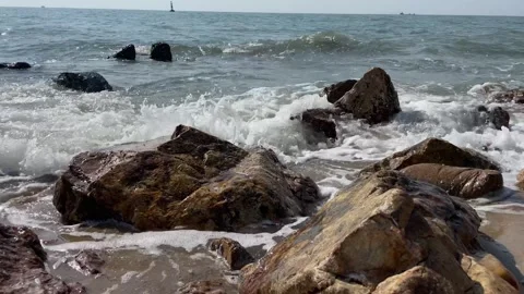 Tidal bore Video stock 241840773