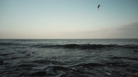 Tidal bore. overall plan. bed camera. sunset Stock Footage 160596966