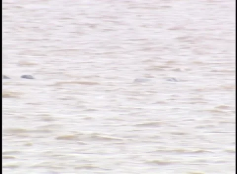 Tidal Bore Wave in the Amazon River, Araguari River, Amapa, Brazil - 07 Jun 2019 Vídeos de archivo 205216369