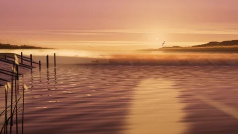 Tidal Bore Wave Surging Upriver at Golden Hour Animation Video stock 348021915