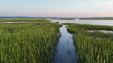 Tidal Creek at Dawn Stock Footage 321025690