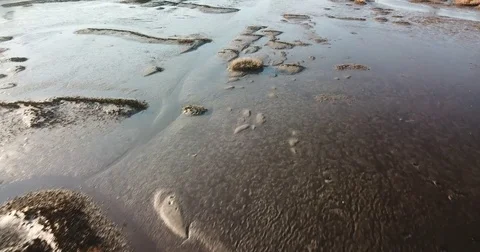 Tidal Creek flyover Stock Footage 85000674