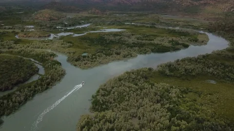 Tidal Creek Stock Footage 113305445