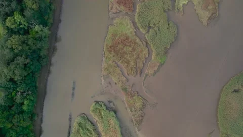 Tidal Creek at River Teign from a drone, Newton Abbot, Devon, England Stock-Footage 163655494
