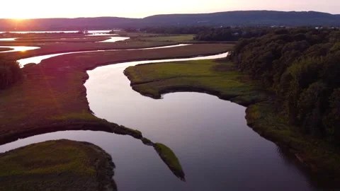 Tidal ecosystem Stock Footage 159032618