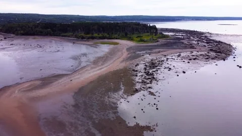 Tidal estuary ecosystem Stock Footage 160443417