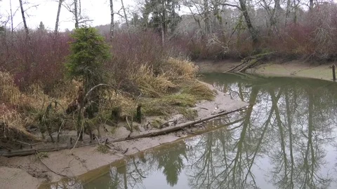 Tidal Estuary in winter Olympic Peninsula Wa. State 動画素材 83767515