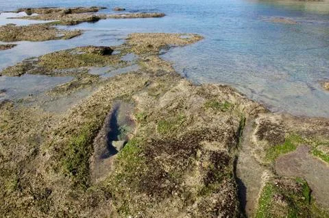 Tidal flat rocks Stock Photos