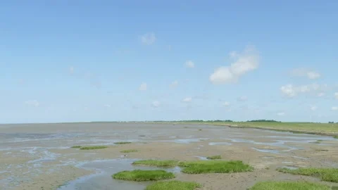 Tidal flat, wadden sea, outer Weser, Dorumer Neufeld,  Lower Saxony, Germany, Video stock 157904770