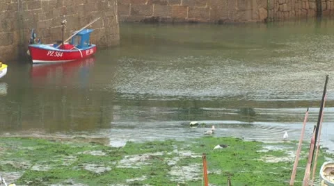 Tidal Harbor Stock Footage 8953028