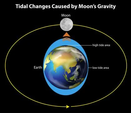 Tidal movements on Earth Stock Illustration