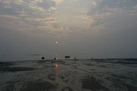 Tidal Mudflat Ground View on Xiamen Early Morning Stock Photos