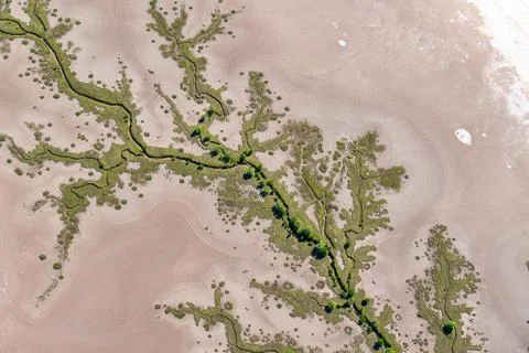Tidal patterns below forming realistic effects formed by mudflat vegetation.. Photos