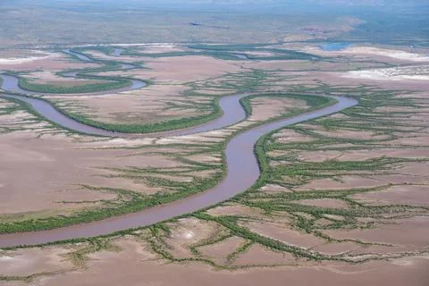 Tidal patterns below forming realistic effects formed by mudflat vegetation.. Photos