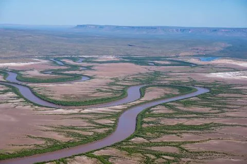 Tidal patterns below forming realistic effects formed by mudflat vegetation.. Photos