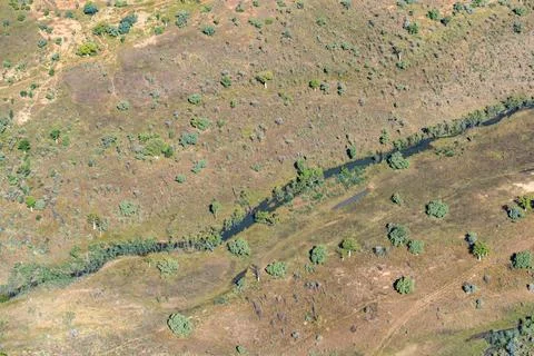 Tidal patterns below forming realistic effects formed by mudflat vegetation.. Photos