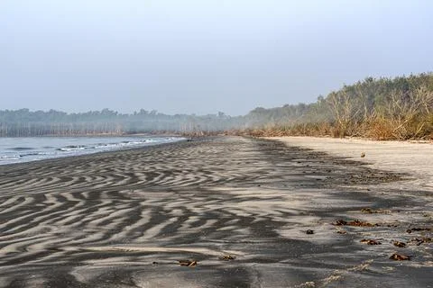 Tidal Patterns on Tranquil Shoreline at Dawn  Sundarbans, Bangladesh Stock Photos