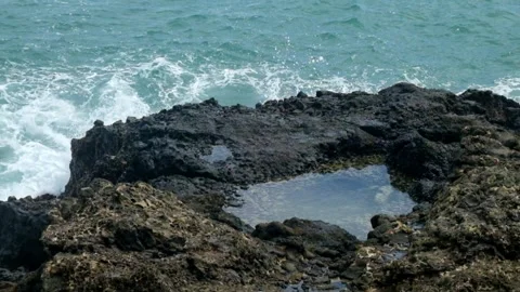 Tidal pool on the beach Stock Footage 319845603