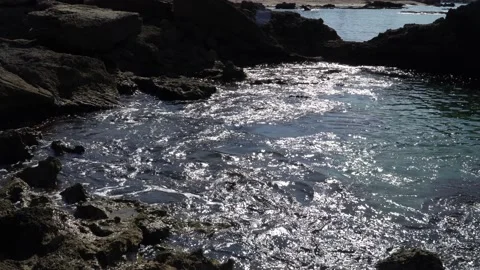 Tidal Pool 動画素材 139315988