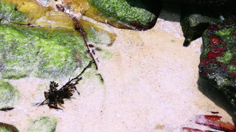 Tidal Pool with Waves Flooding and Ebbing of the Ocean Tide. Stock Footage 61761208