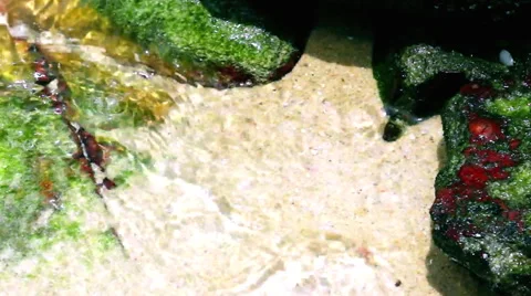 Tidal Pool with Waves Flooding and Ebbing of the Ocean Tide. Video stock 61761688