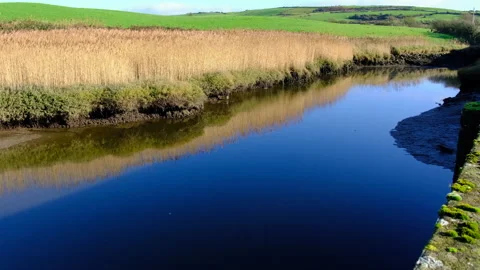 Tidal pool in West Cork Stock Footage 166221204