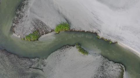 Tidal River flowing through Little Tybee Island Stock Footage 245321821
