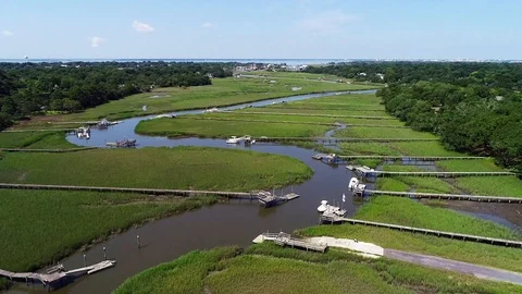 Tidal River Stock Footage 100631848