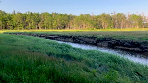 Tidal River 動画素材 198946944