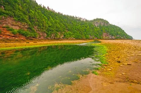Tidal river at low tide on a cloudy day Fotos Stock